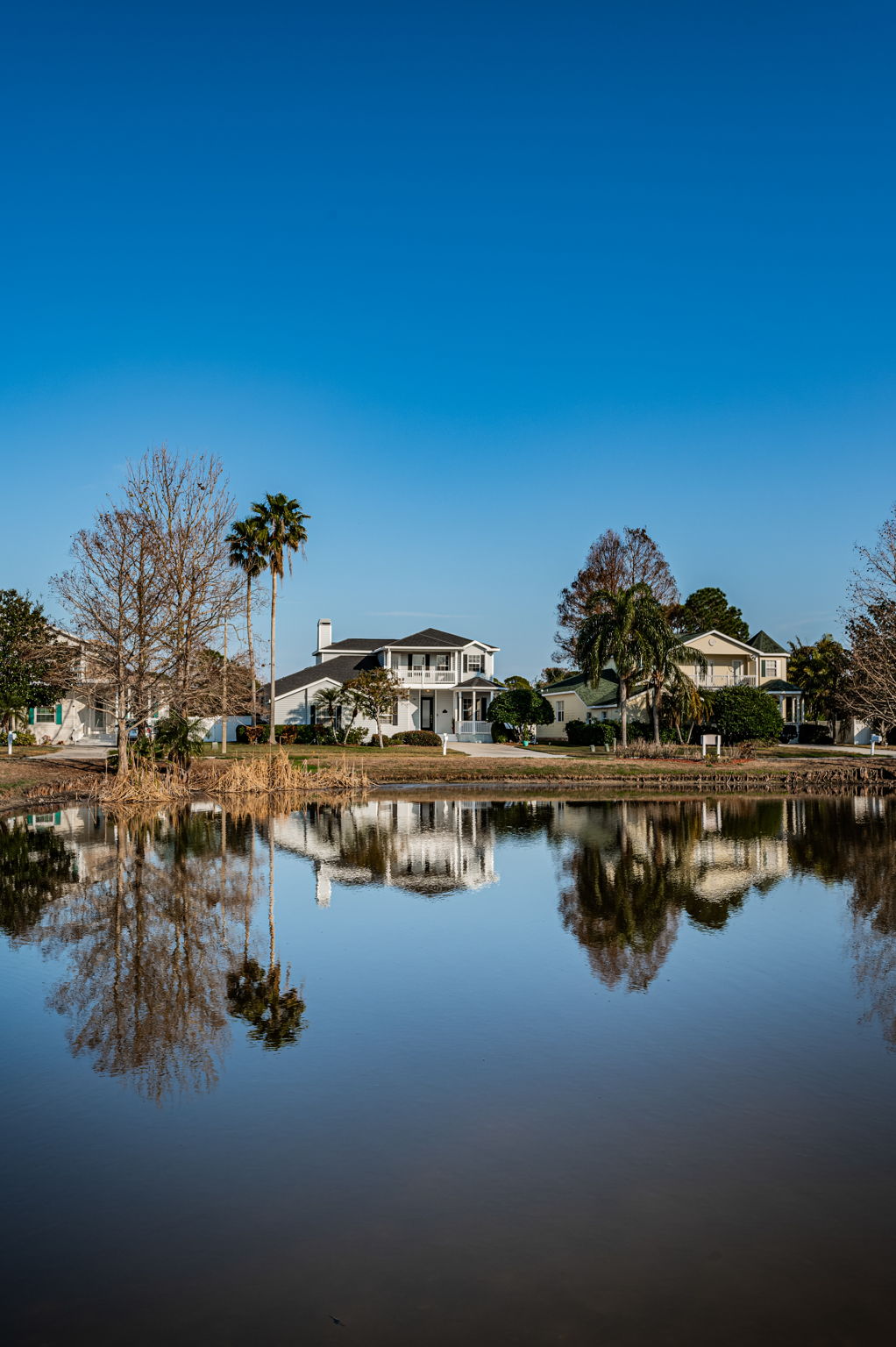 4-Osprey Place Pond