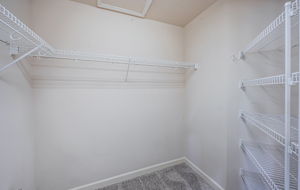 First Floor Master Bedroom Walk-in Closet1