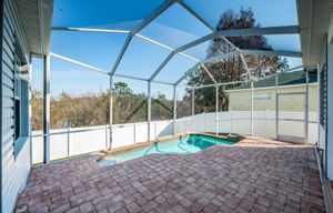 Patio and Pool