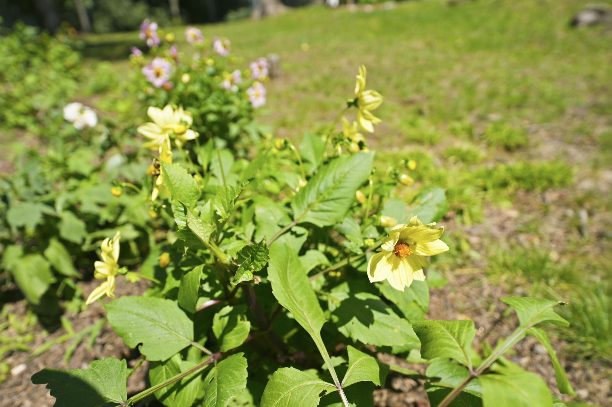  Photo 40
