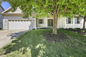  Photo 0