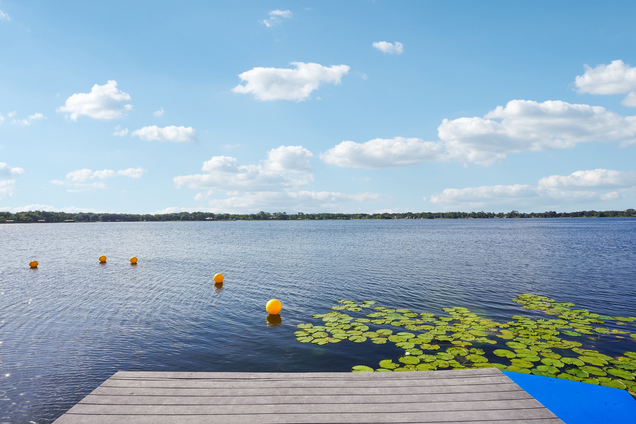 Lake Joanna Dr-1606-910.jpg