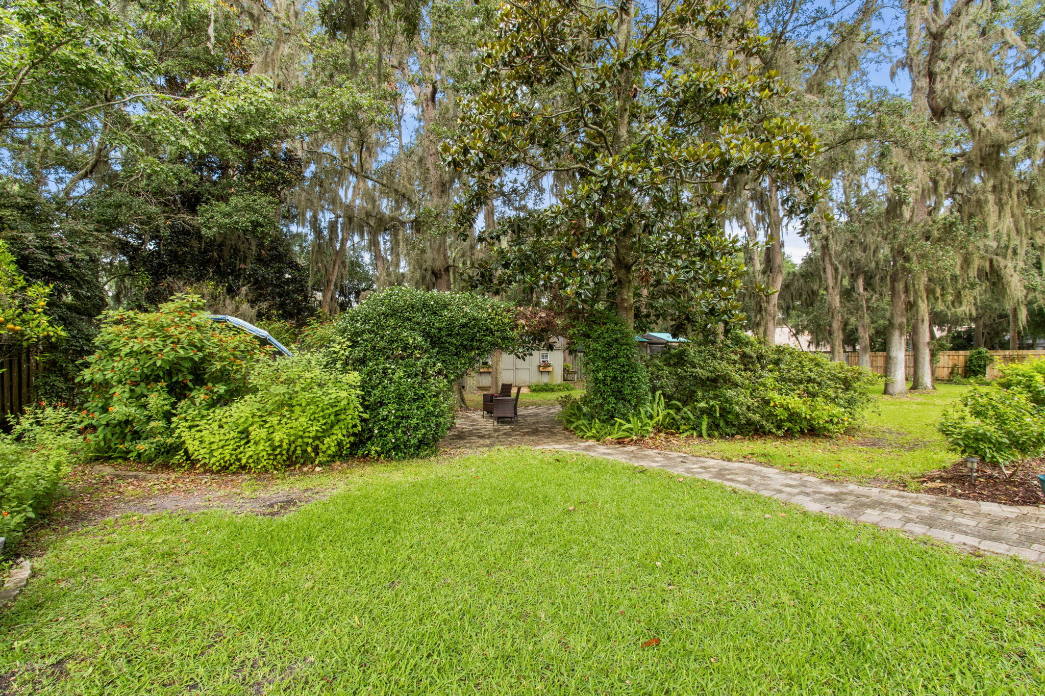Backyard