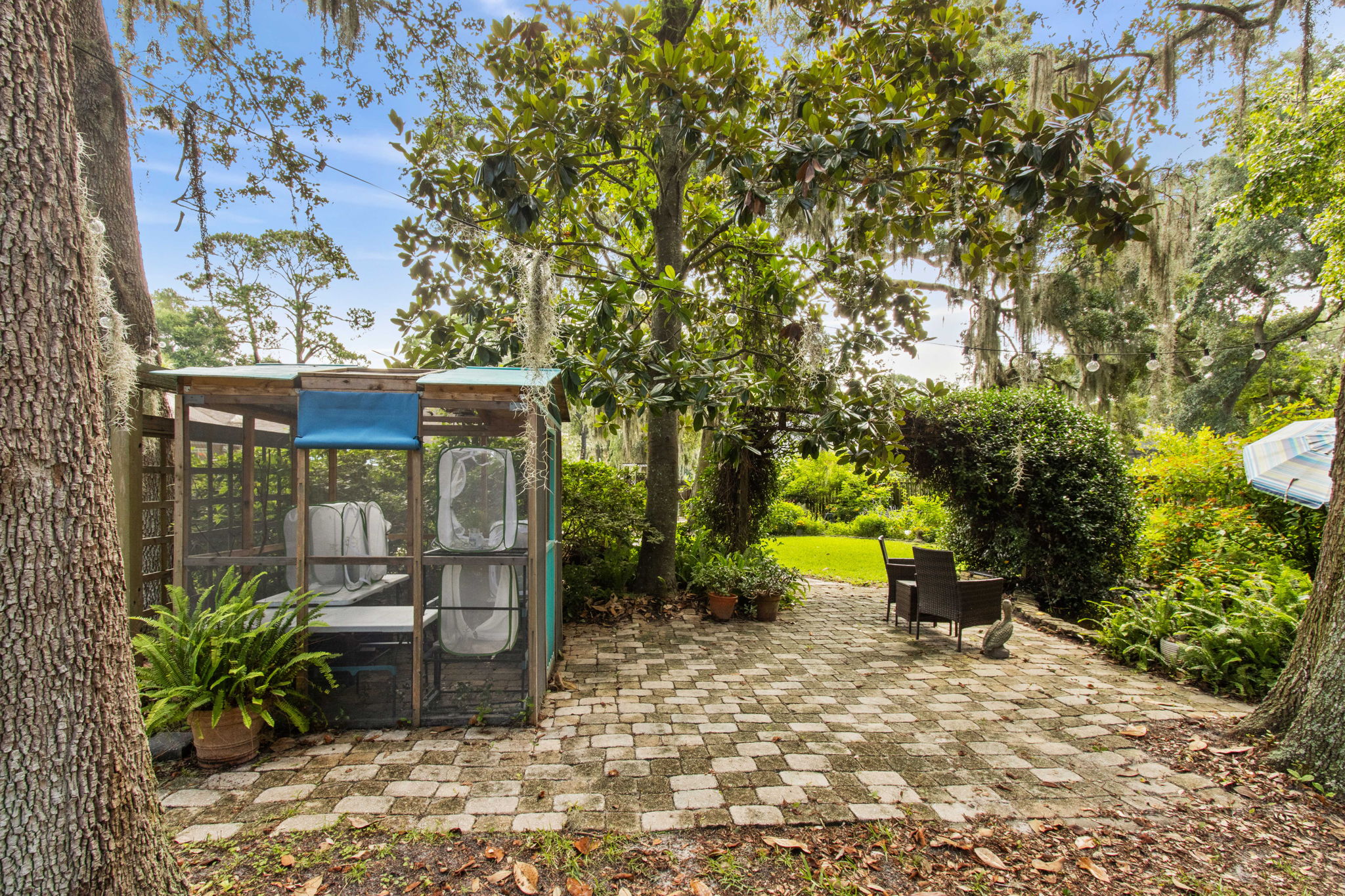 Backyard