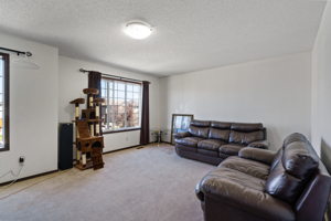 294 Cranston Way SE, Calgary, AB T3M 1K5, Canada Photo 22