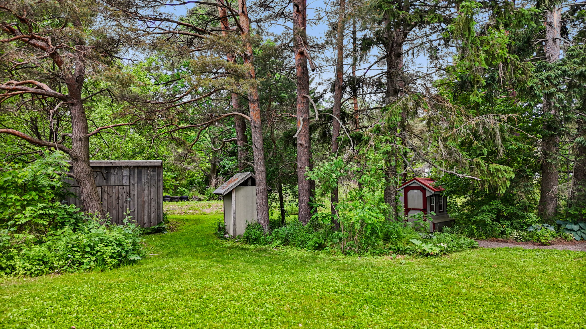  Photo 45
