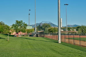  Photo 31