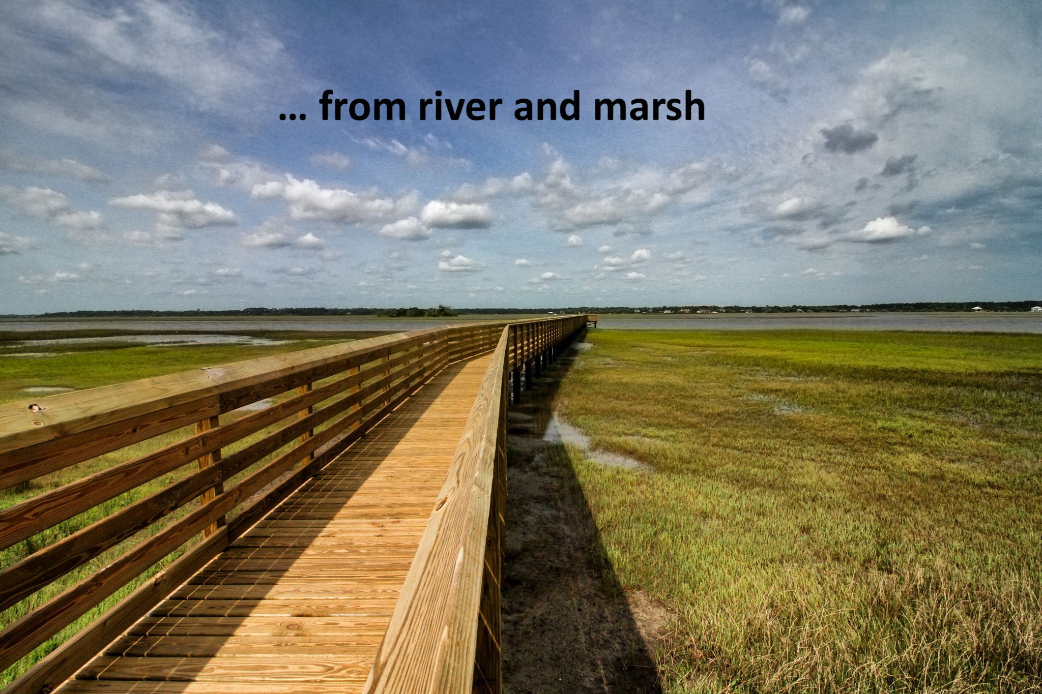 ... through picturesque marshes