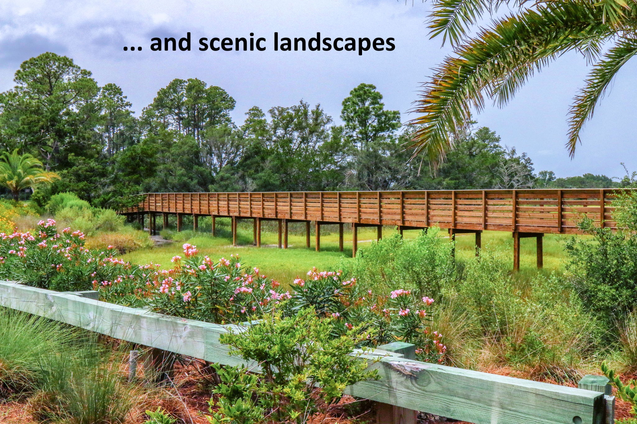 ... and beautiful natural landscapes