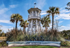 Dunes of Amelia is a boutique Amelia Island community of about 121 homes ...