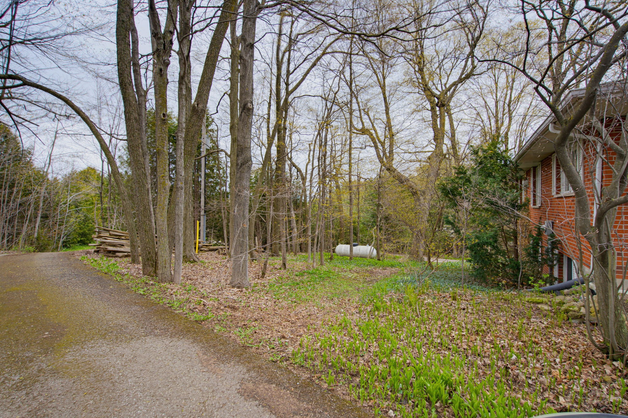  Photo 46