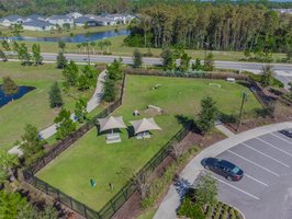 DJI_0113.jpg