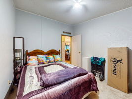  Photo 23