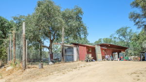 Chicken Coop