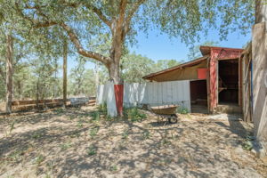 Chicken Coop