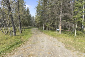  Photo 49