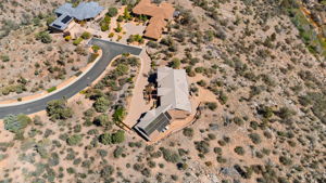 Birds Eye