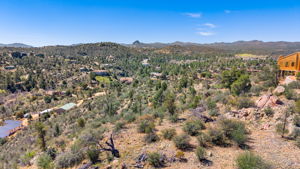 View Back