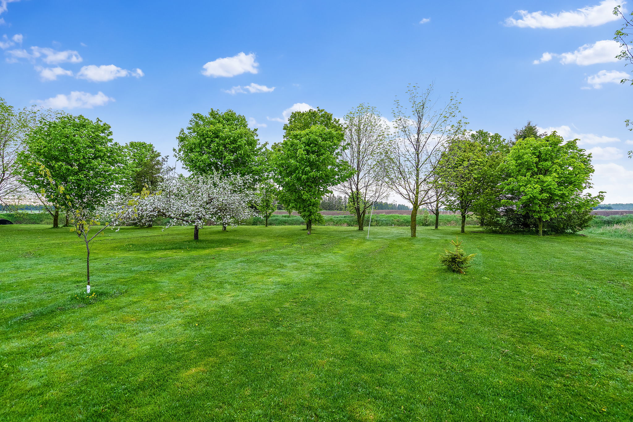  294235 8th Line, Amaranth, ON L0N 1L0, US Photo 38