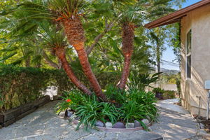 05-Outdoor Patio