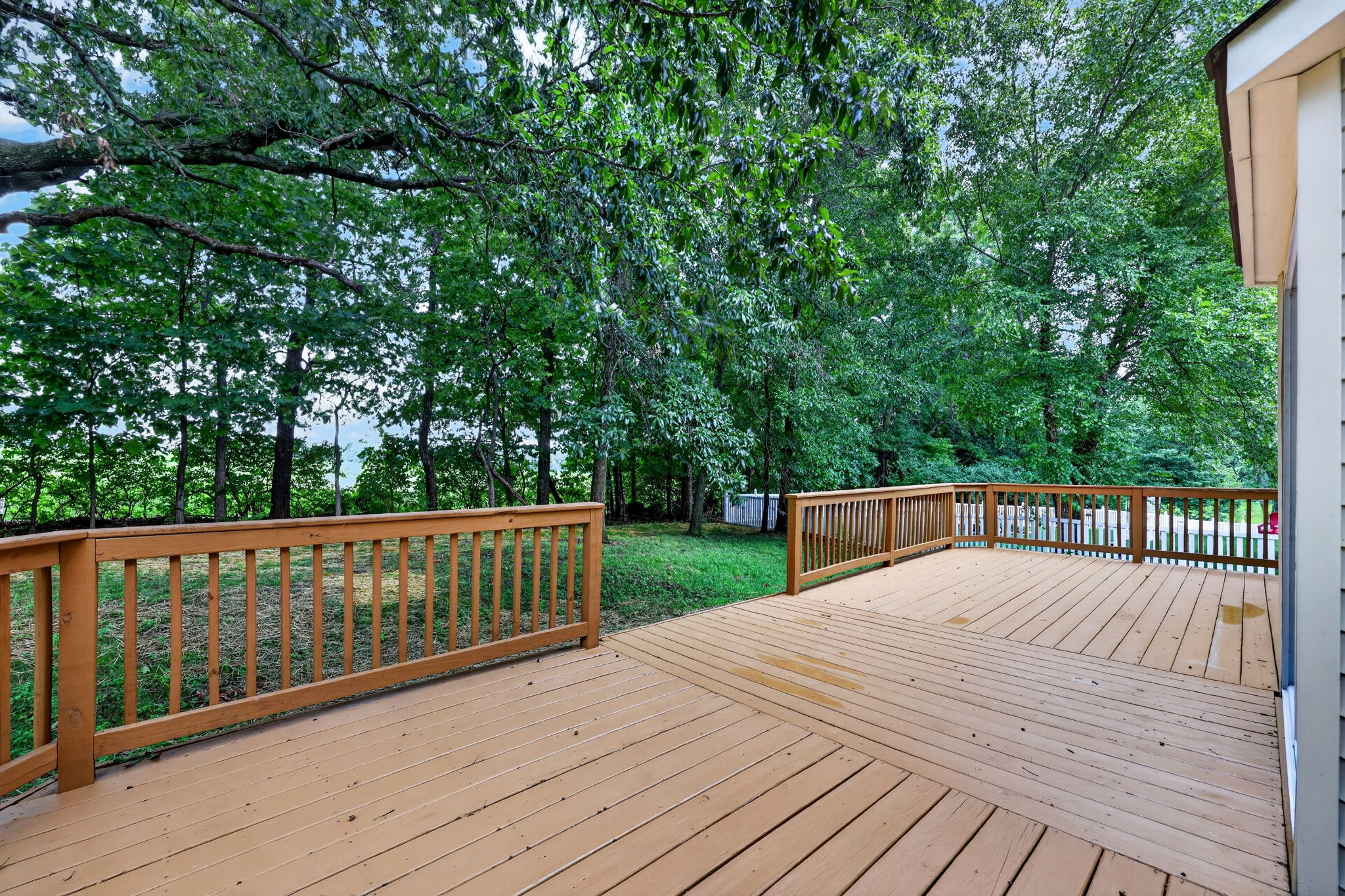  Photo 67
