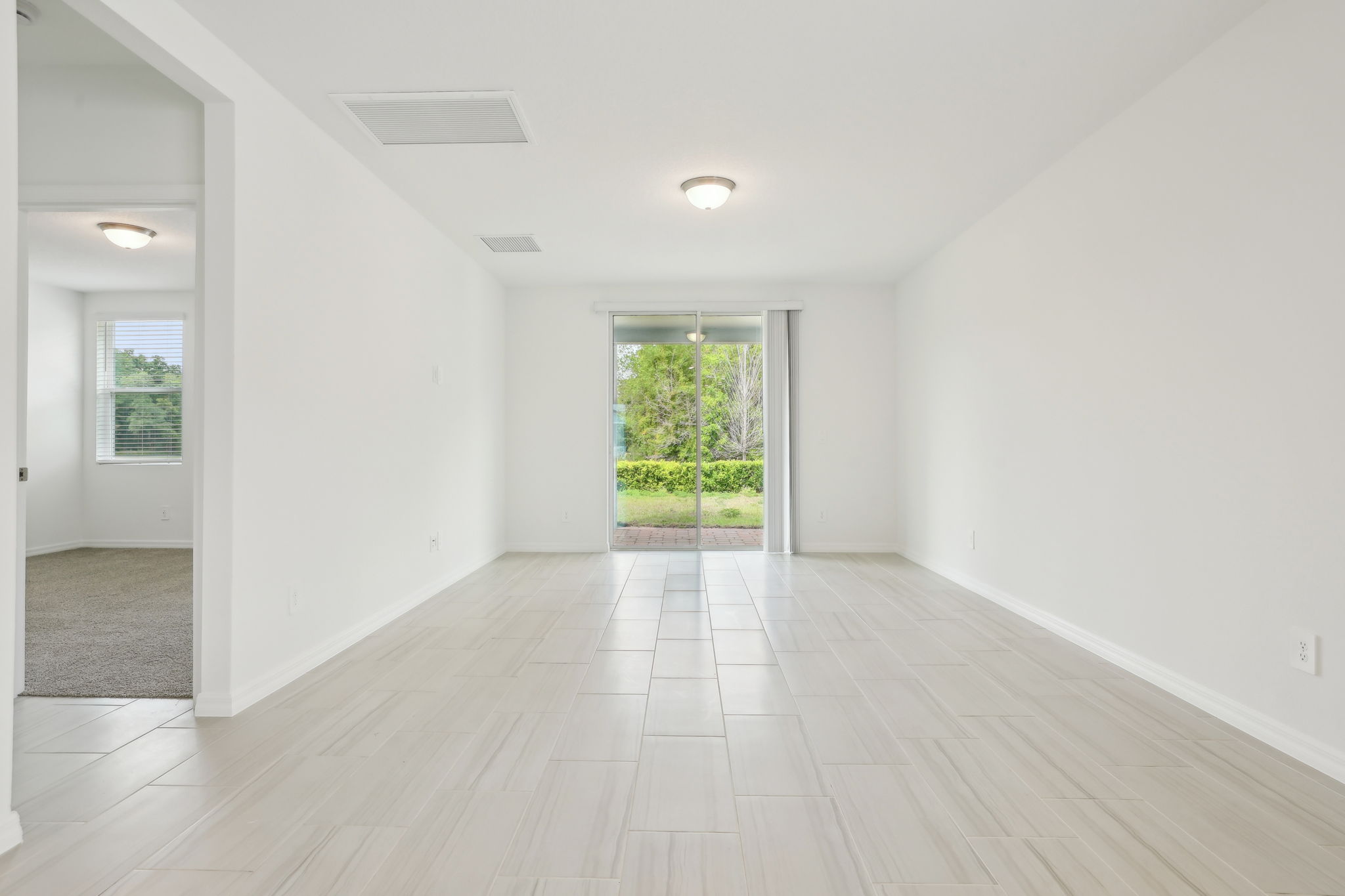 Orlando - Twin Lakes - Lot 1204 - 2948 Wild Olive Drive - 006