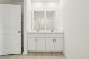 Orlando - Twin Lakes - Lot 1204 - 2948 Wild Olive Drive - 021