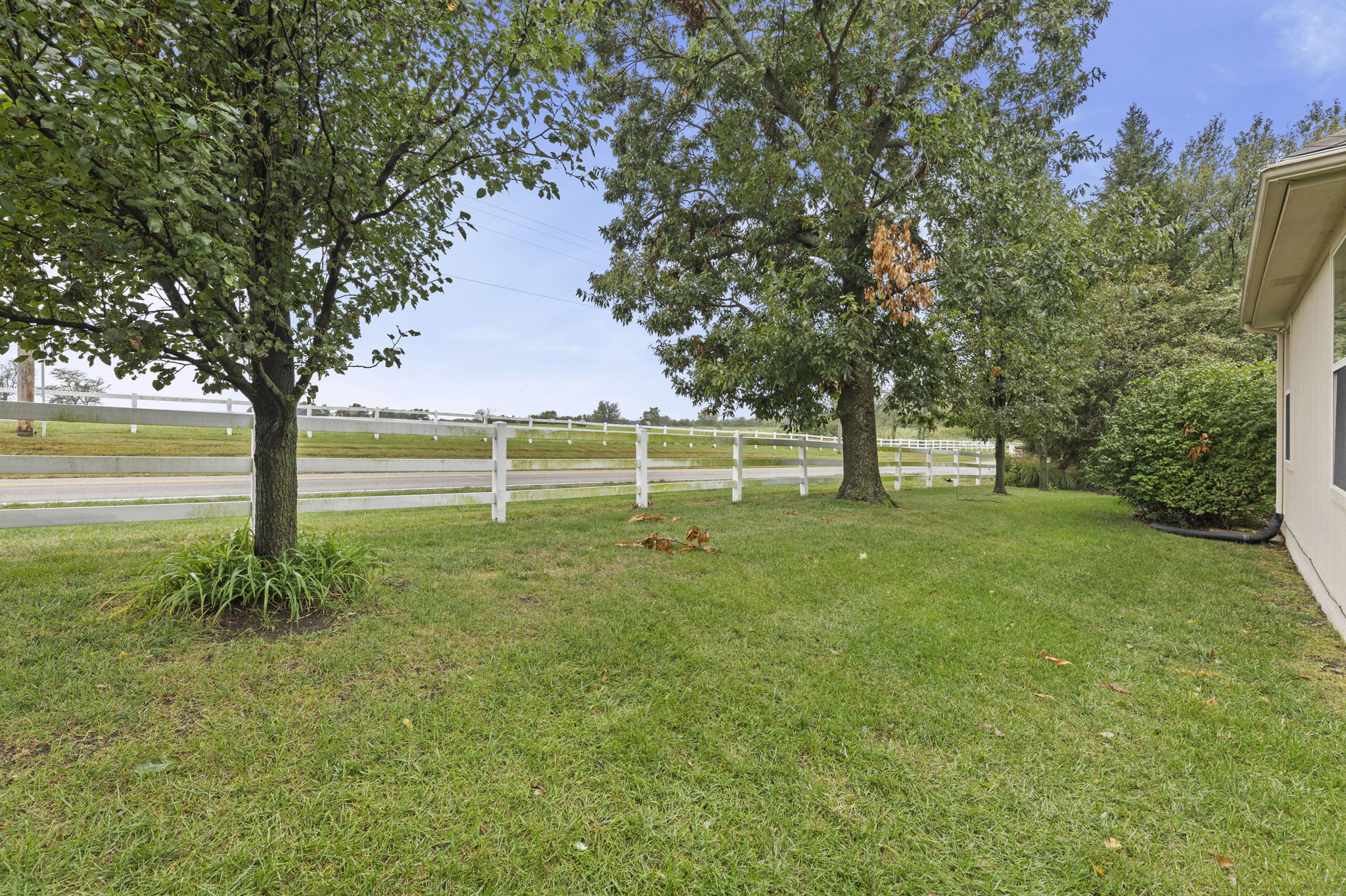  Photo 47