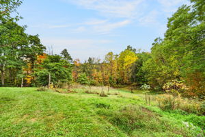  Photo 77
