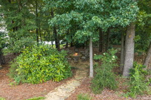  Photo 49