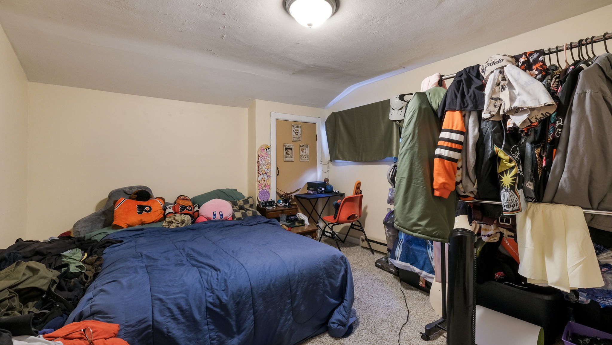  Photo 43