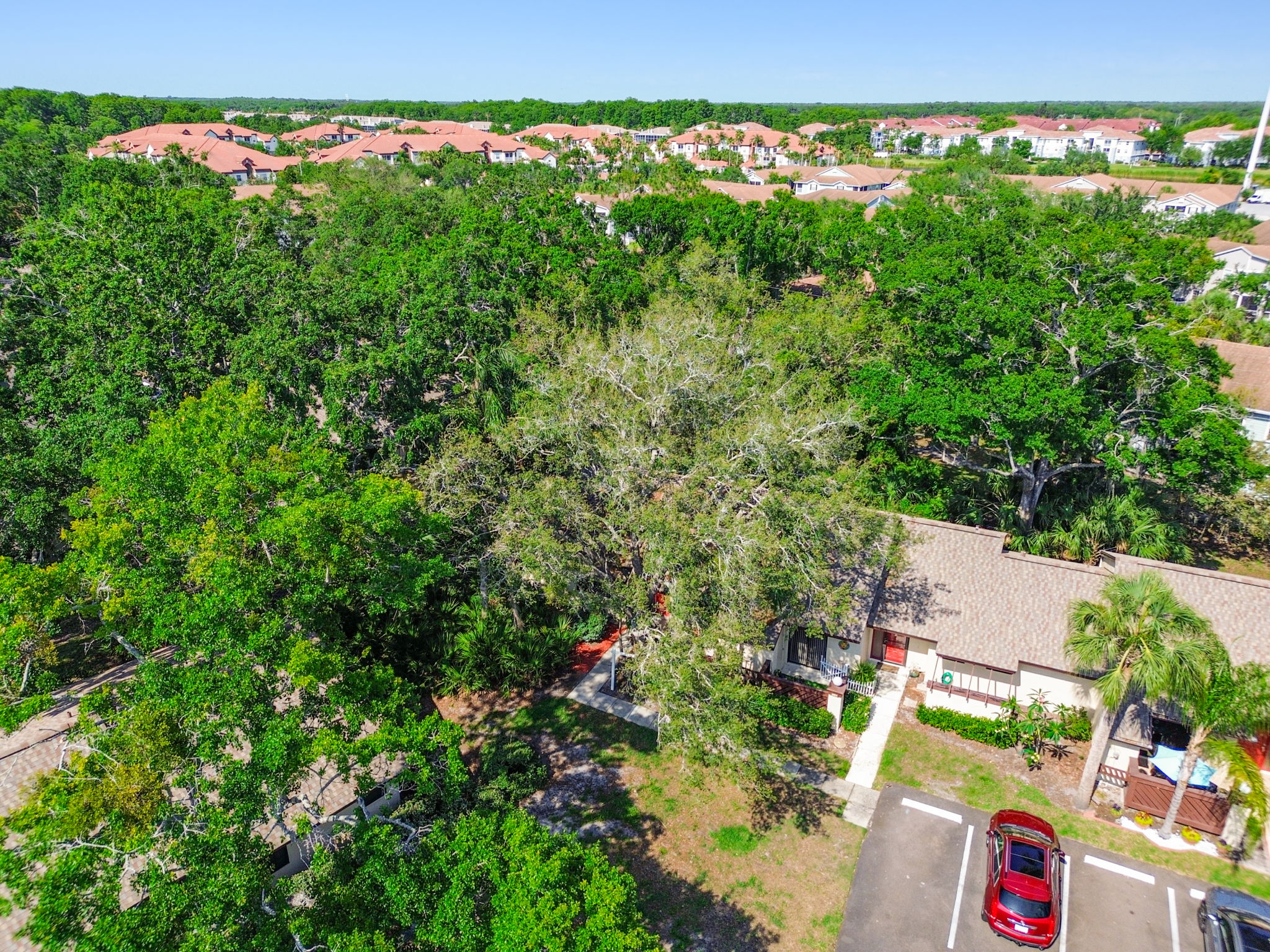 DJI_0586