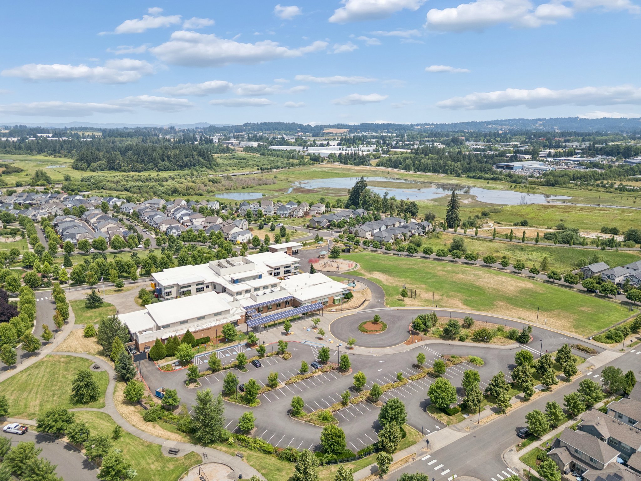 175.jpg