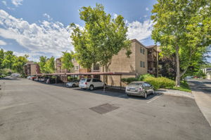 2955 Lakeside dr_50