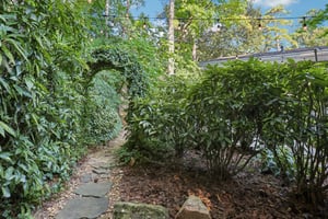 Torreya Way-L1309-006.jpg