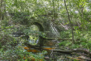  Photo 49