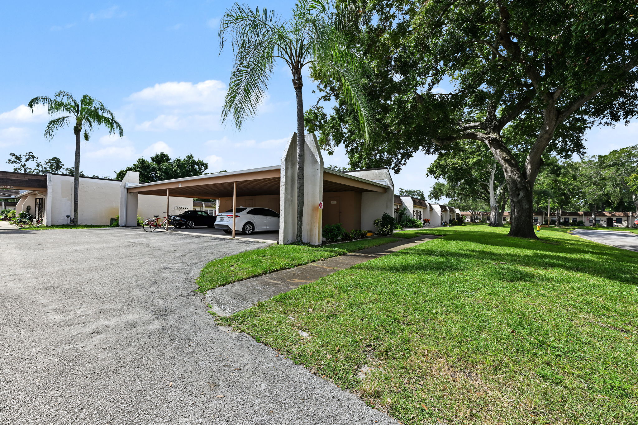 Driveway