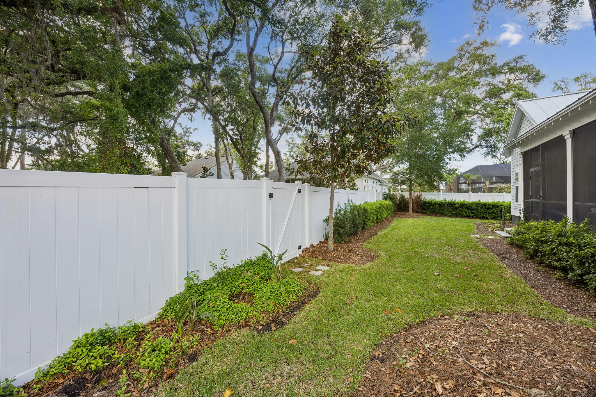 Backyard
