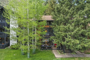  Photo 39