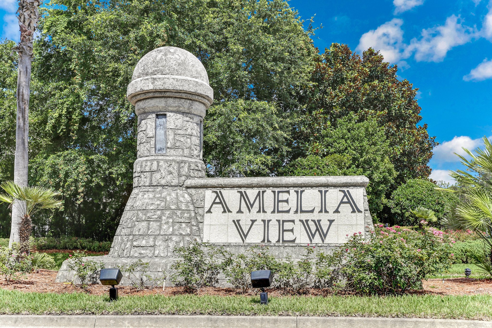 Amelia View