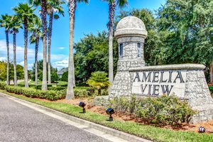 Amelia View