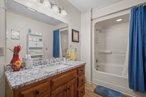  Photo 41