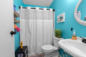  Photo 47