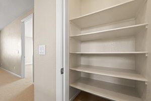 2960 Show Jumper Ln, Reno, NV 89521, USA Photo 37