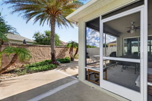 Rear Patio
