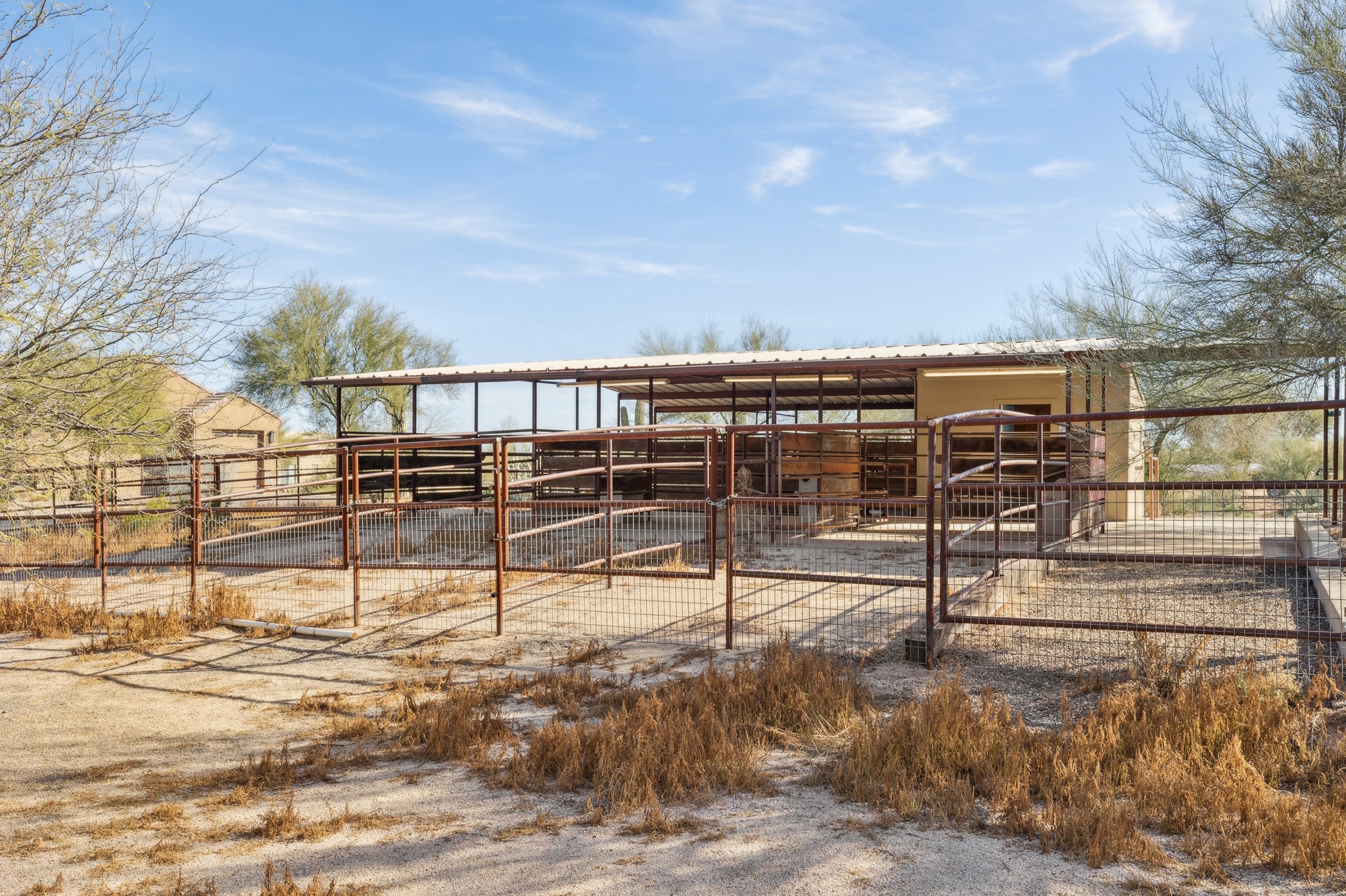 29611 N 140th St - 012 (2).jpg