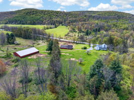  Photo 49