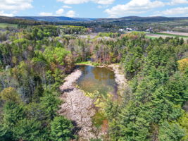  Photo 51