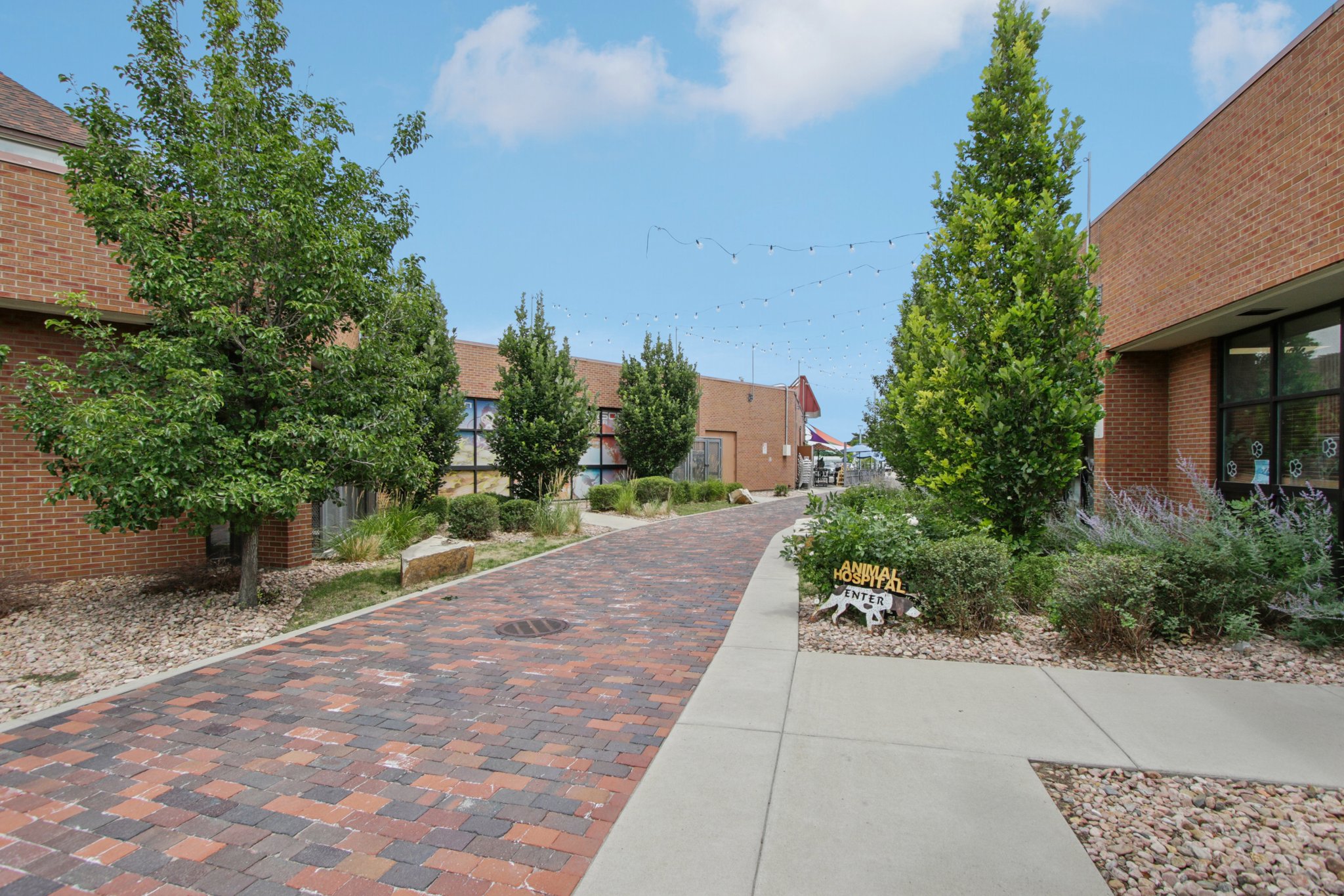 Colby Dr-2207-919.jpg