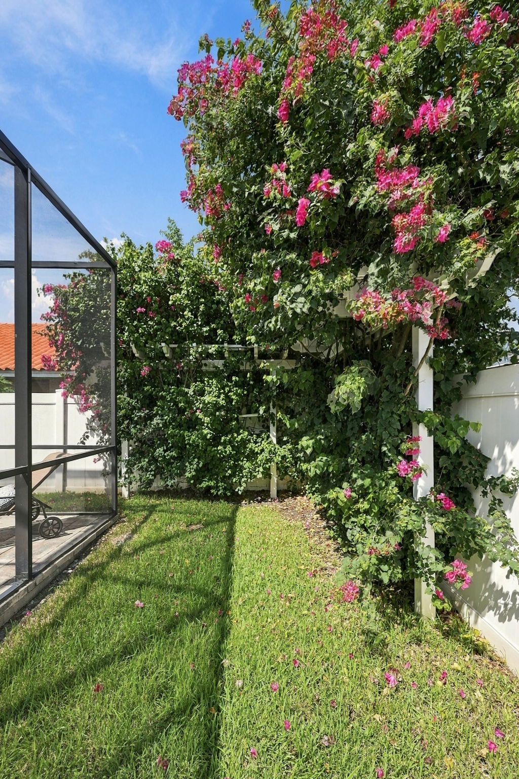 Backyard5